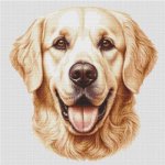 (image for) Golden Retriever Smile